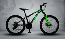 Disco per mountain bike verde