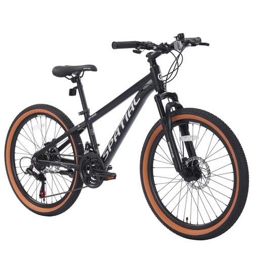 Mountain bike spatial - bike, 24