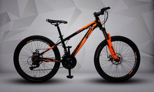 Disco per mountain bike