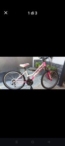 Bicicletta bambina pollici - 24,