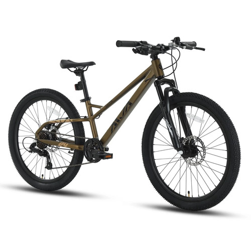 Aiva hardtail mountain bike - hardtail,